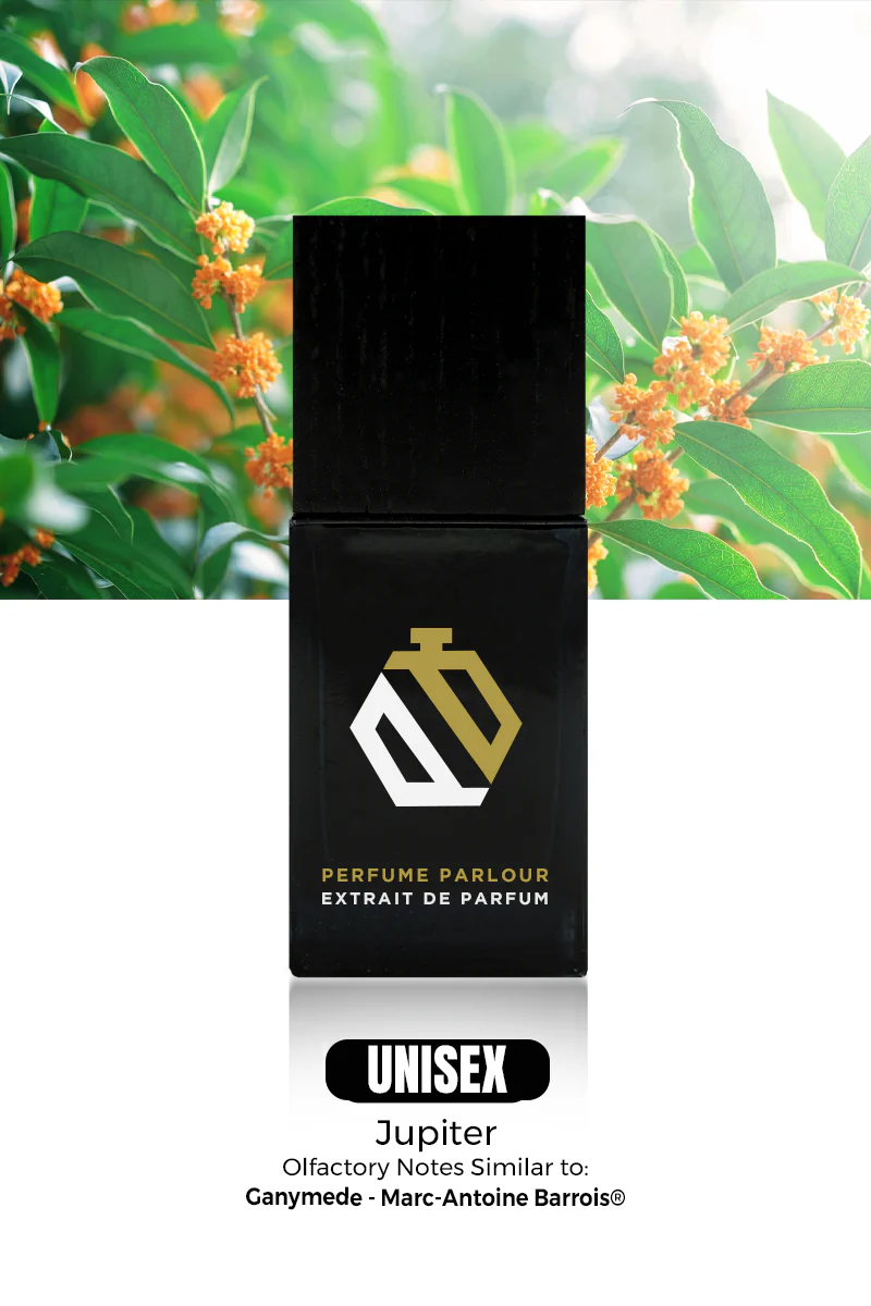 Oud Tribute - 2062 - Image 3